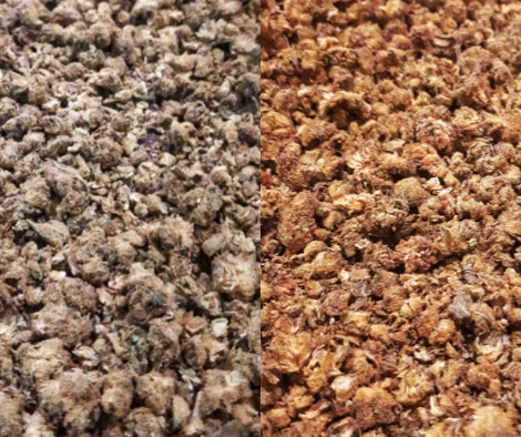 Guide pratique du cannabis par Athena Lumsden – Broché