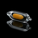 Capsule CAO Evan Shore