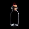 Evan Shore Ruby Terp Pearl