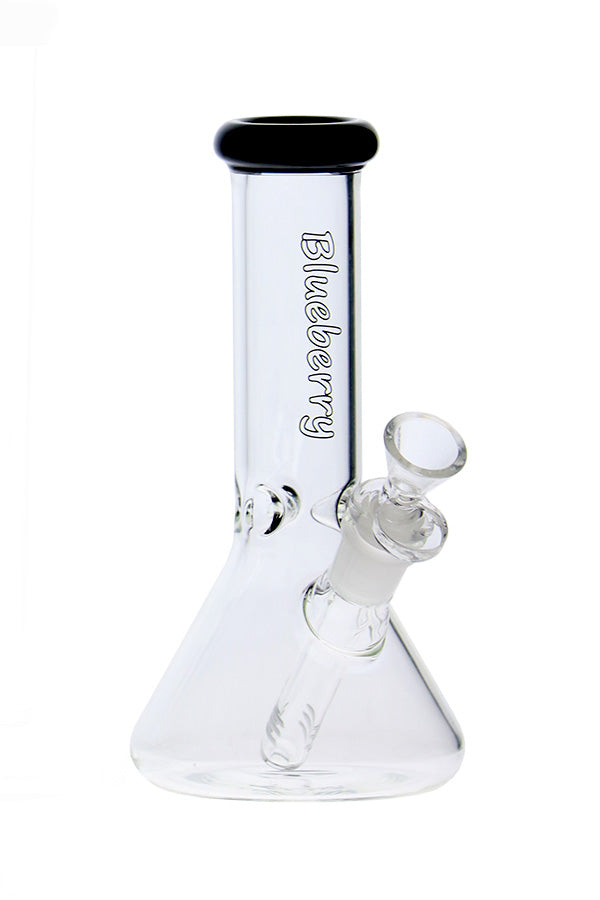 8 inch Blueberry Mini Beaker
